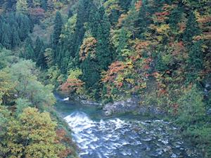 愛媛県松山市のビジネスホテル「東横イン松山一番町」の詳細と特徴紹介