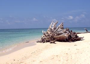 魅力的なイタリア旅行が実現します