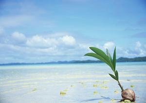 横浜観光とビジネスに最適！東横INN横浜スタジアム前1の魅力と宿泊ポイント