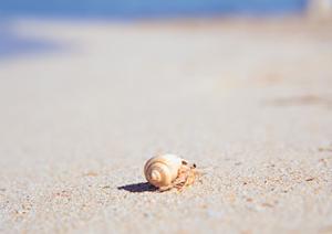 東横INN日本橋三越前A4｜アクセス良好なビジネスホテルで快適な滞在を実現