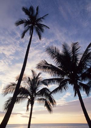 松本駅近くの快適なビジネス＆観光利用に最適な東横INN松本駅前本町ホテルの詳細ガイド