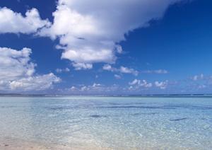 沖縄那覇市のビジネスホテル「東横INN那覇おもろまち駅前」の魅力と詳細情報