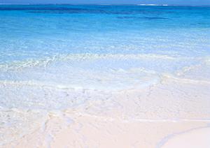 サーフスクールが良ければ上達が早いです