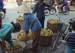 ANAの株主優待を徹底解説！2025年最新情報とお得な活用法