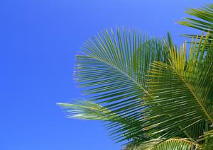 富山駅から徒歩5分の快適ステイを実現する東横INN富山駅新幹線口1の魅力と詳細情報