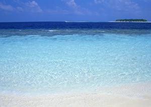 料理にも力を入れている温泉宿があります