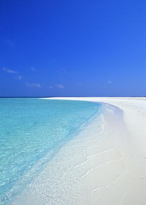 埼玉県の狭山市にある神社のご紹介