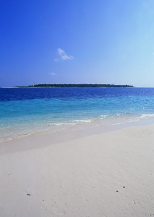 東横INN伊勢市駅｜コスパ抜群のビジネスホテルと観光に便利な宿泊プラン