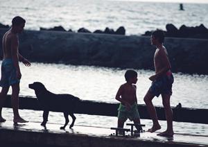 千葉県君津市の旅館にはどこがあるか