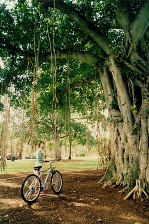福岡・博多駅南の快適宿泊を実現する東横INN博多駅南の紹介と特徴