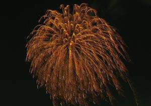 名古屋駅近くの快適な滞在を提供する東横INN名古屋名駅南の魅力と詳細情報